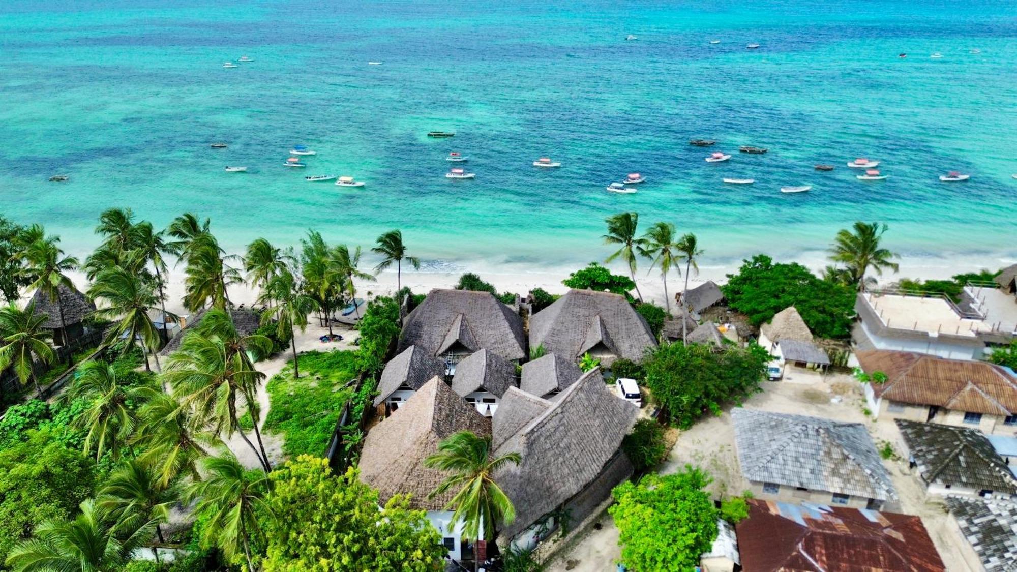 Bitcoin Beach Hotel Zanzibar Michamvi 외부 사진
